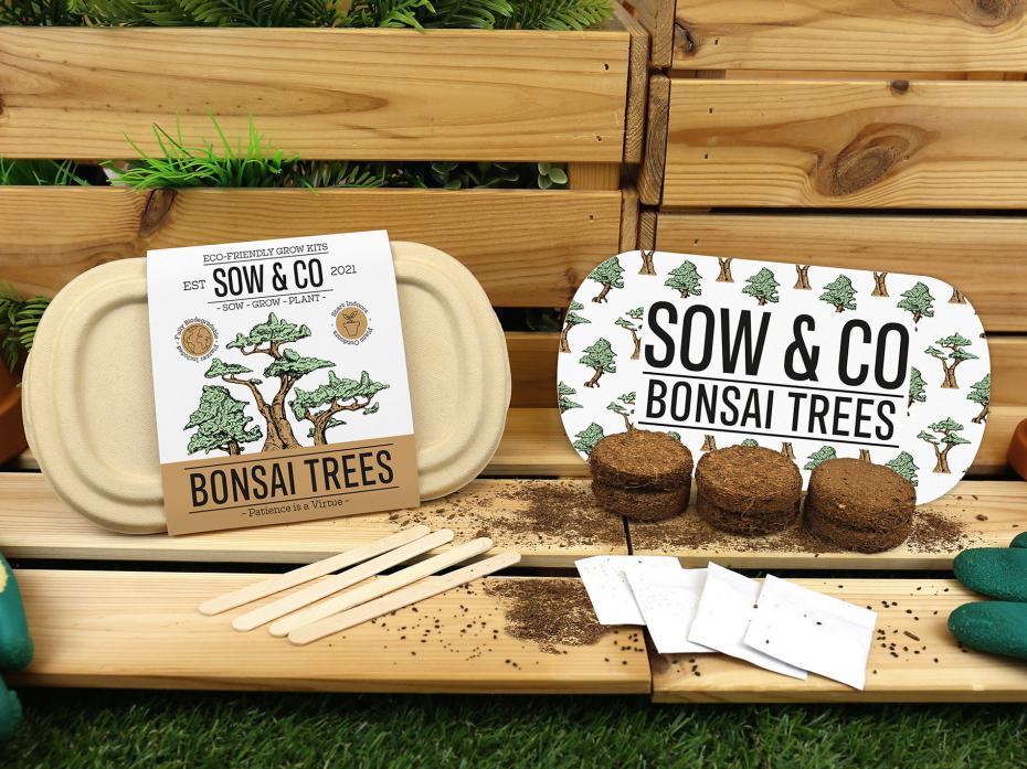 Sow & Co. Bonsai